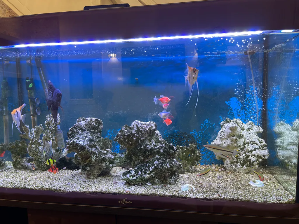 Вилла с баней и шикарным бассейном