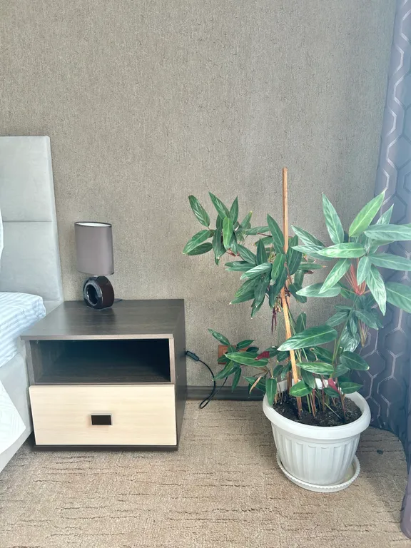 Отличная квартира возле городского фонтана