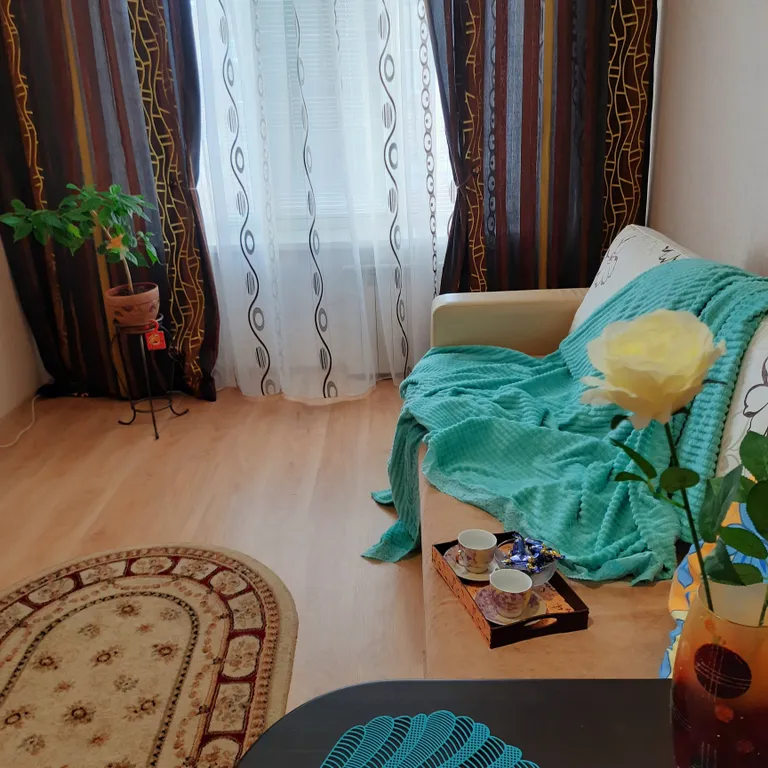 1-комнатная Квартира — аренда посуточно в Камышин