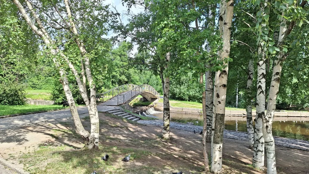 Квартира в центре города