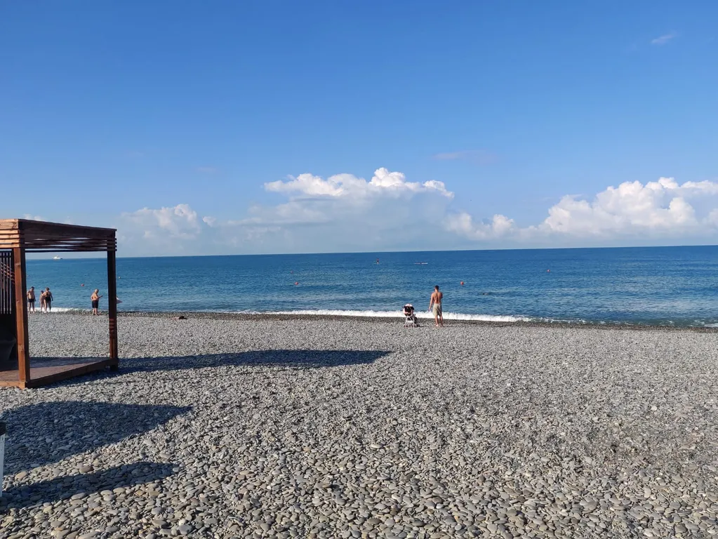 Яркая студия Цитрус для всей семьи