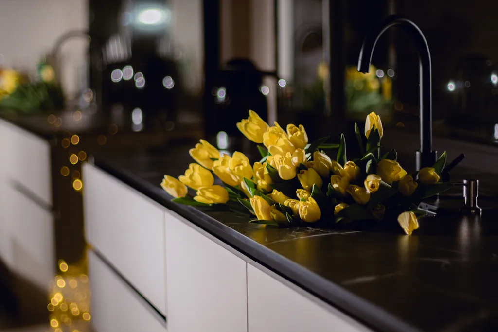 Шале Гагарин