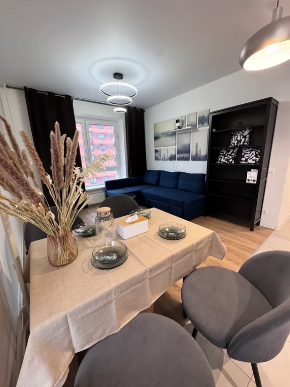 Большая квартира у аэропорта Внуково