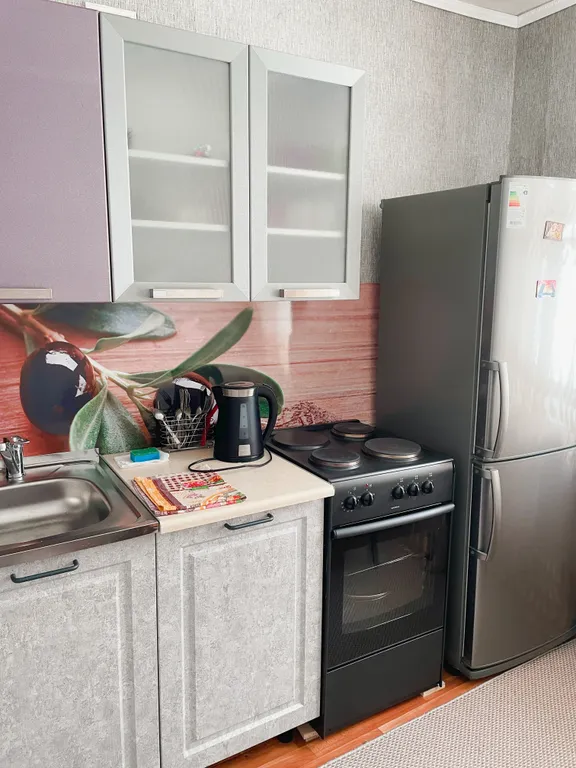 Уютная квартира в центре — аренда посуточно в Петропавловск-Камчатский