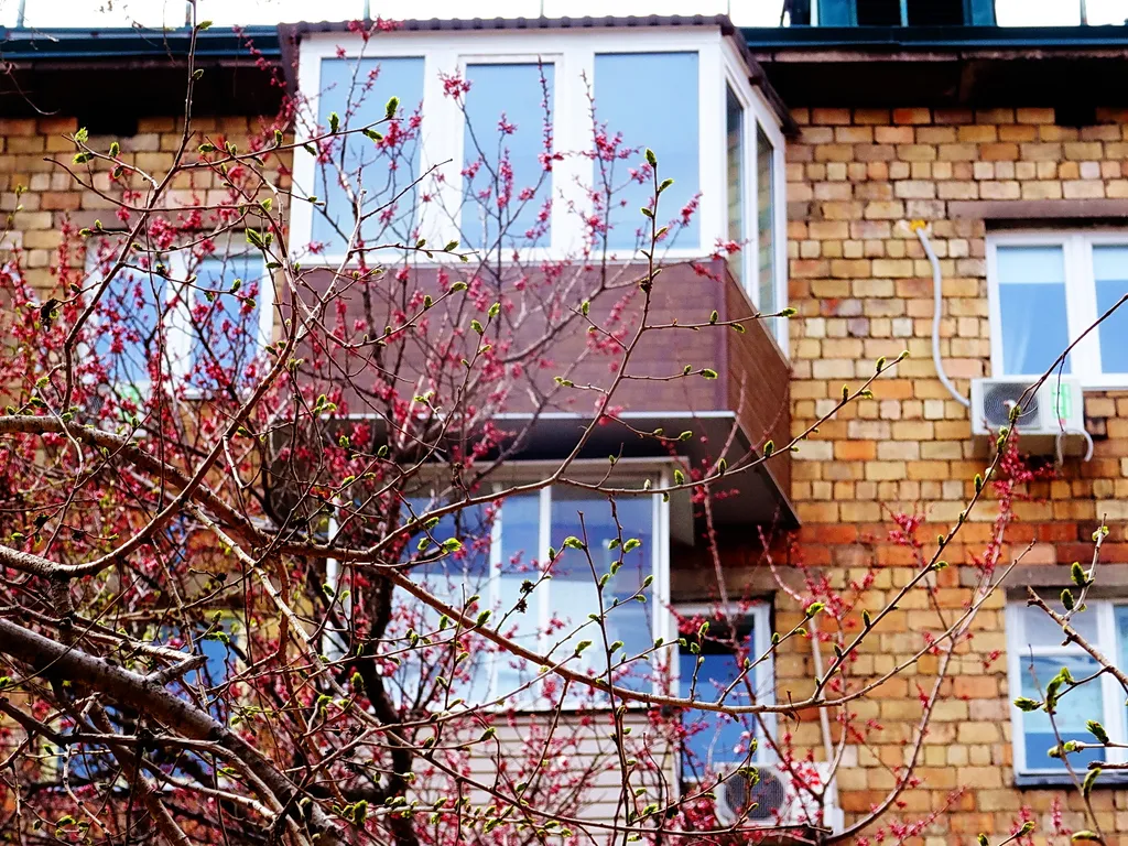 Квартира Квартира Уютное местечко в сердце города — Владивосток