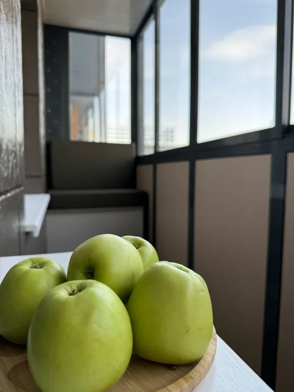 Квартира Квартира Уютная евродвушка с видом на реку Преголя и Планету Океан — Калининград