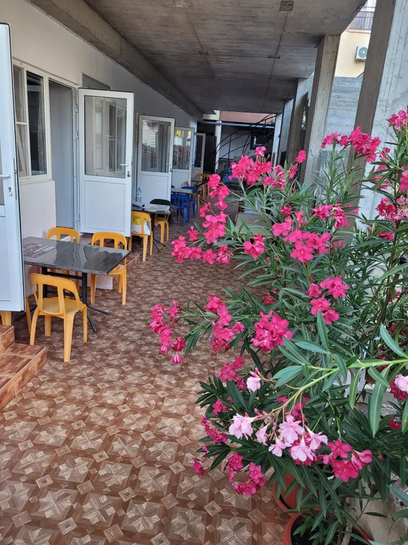 Квартира Номер эконом в самом центре Кабардинки! — аренда посуточно в Кабардинка