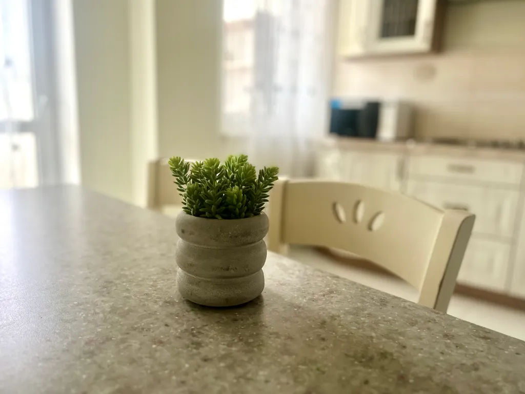 Квартира Семейная квартира у Кафедрального собора — Калининград