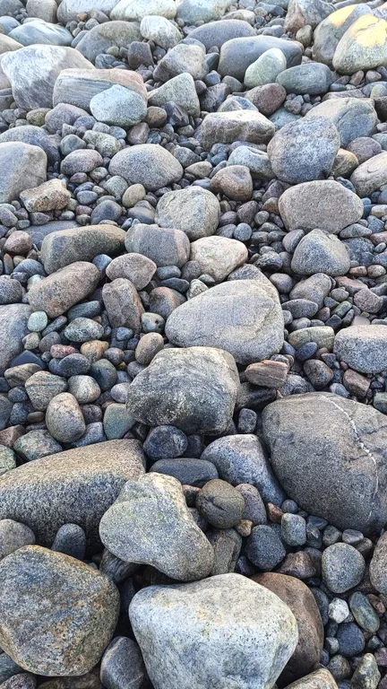 Квартира в Териберке