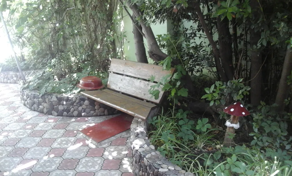 Дом с гранатовым деревом