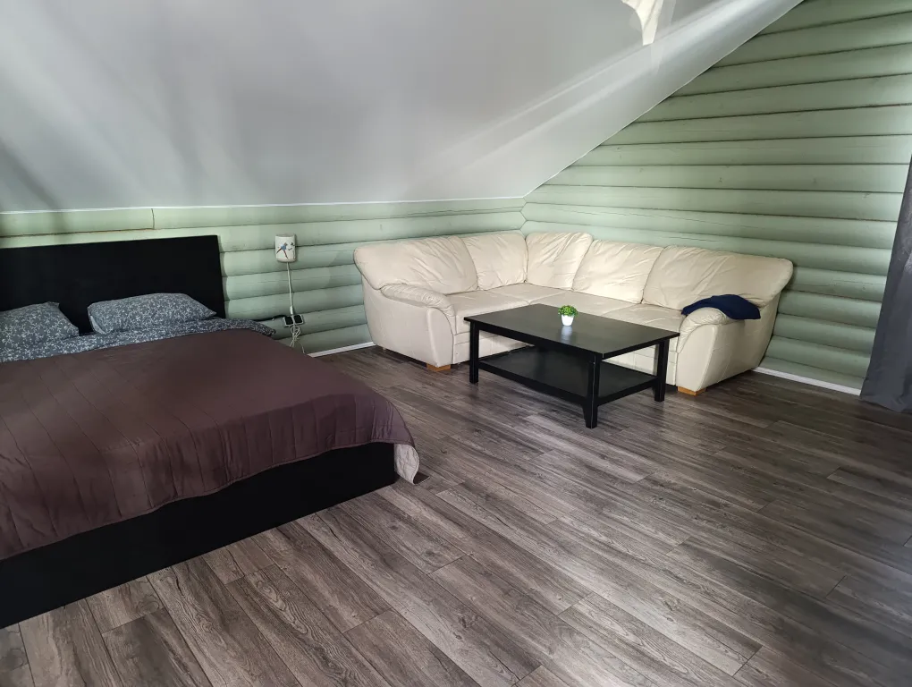 Коттедж Loft коттедж с шикаpным видом на пруд — Шишкино