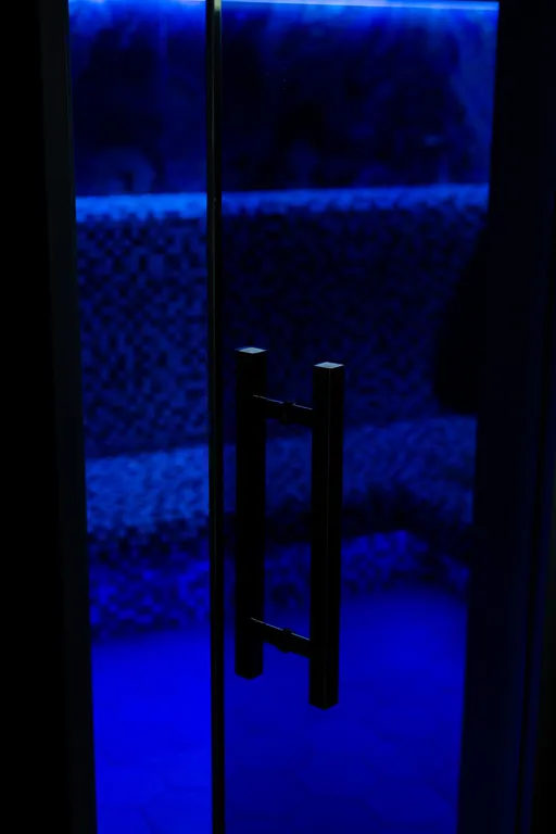 Уютный современный BarnHouse с хаммамом и купелью