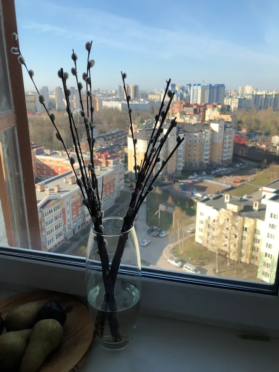 Видовая квартира в Приморском районе