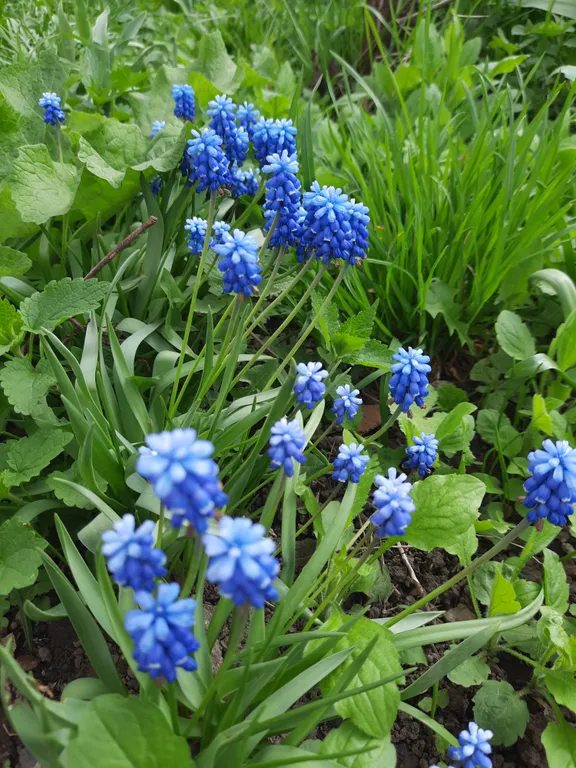 Уютный особняк