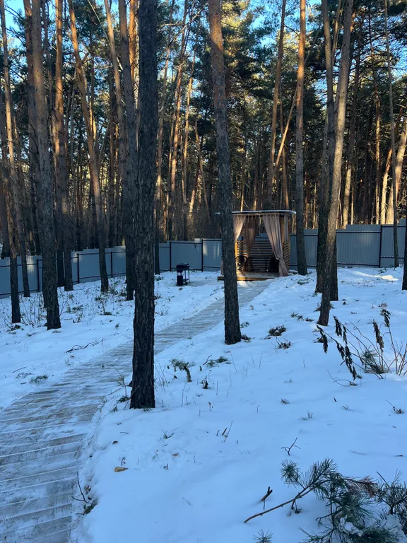 Дом отдыха Чернаков с видом на лес