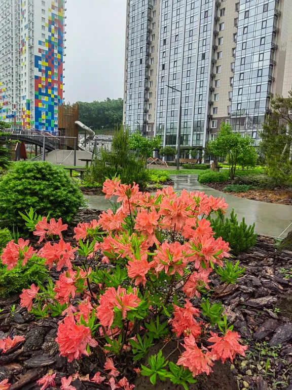 1-комнатная Квартира