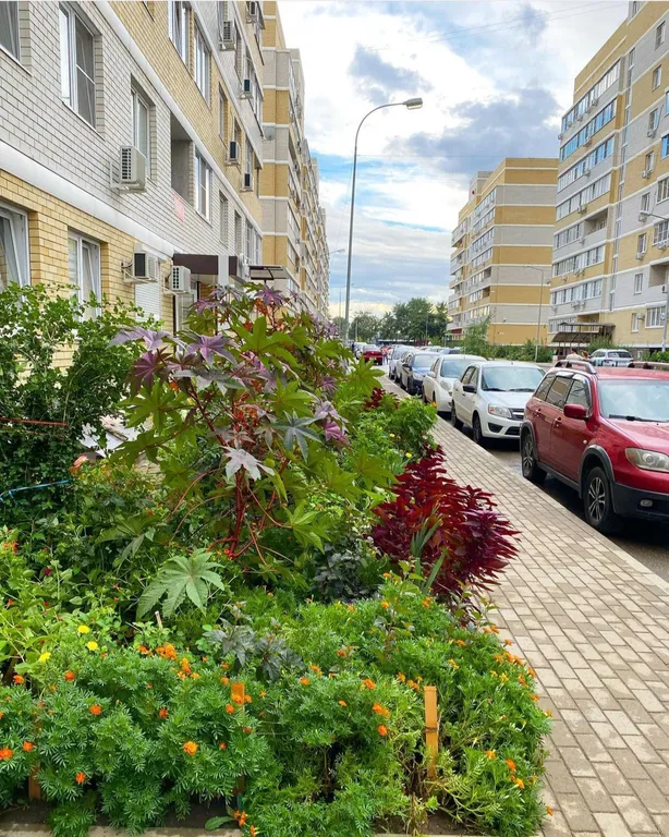 Квартира Квартира Уютная студия в ЖК Светлоград — Краснодар