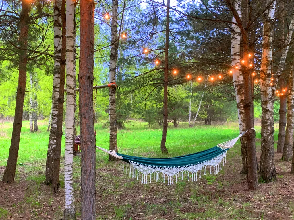 Дом с русской баней и горячей купелью