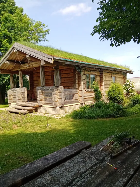 Деревянный домик с соломенной крышей и русская баня