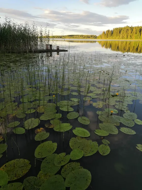 Дом на Селигере