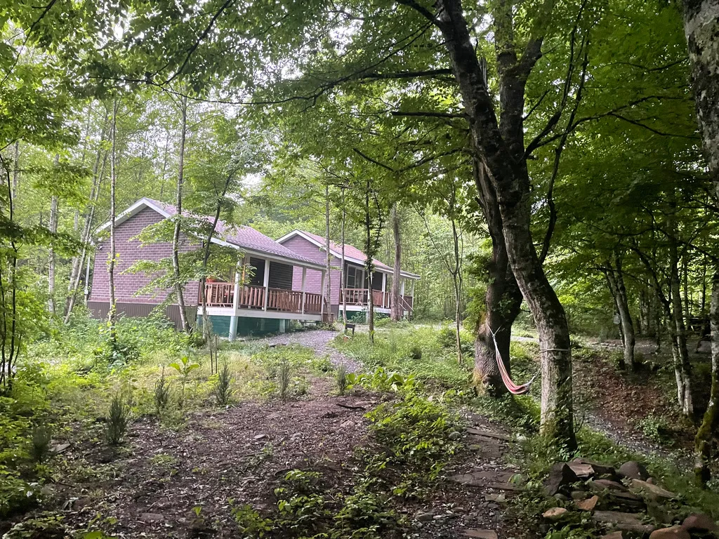 Сказочный домик в сердце леса