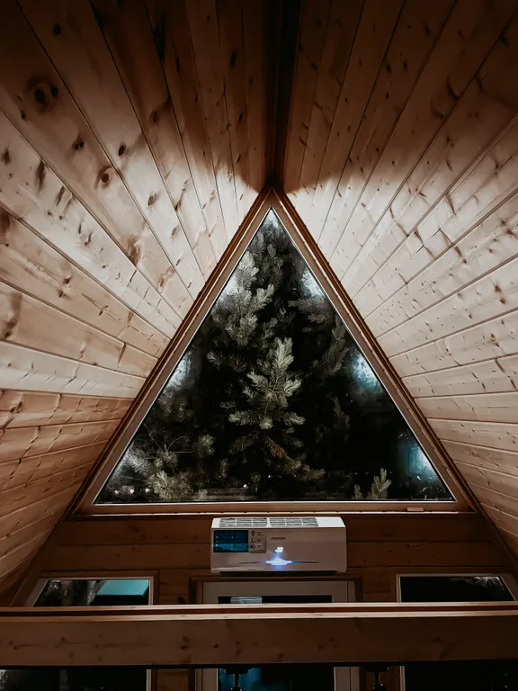 Глэмпинг в сосновом лесу