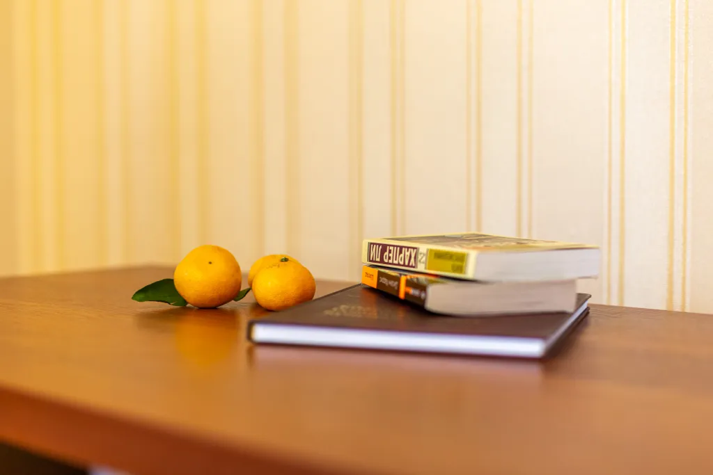 Квартира с видом на горы