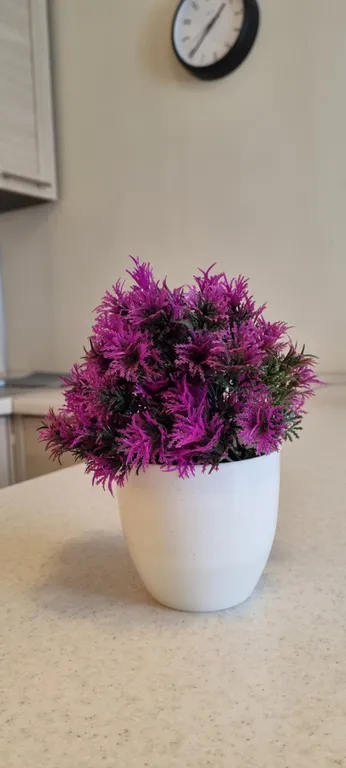 Квартира Квартира Студия рядом с метро — Москва