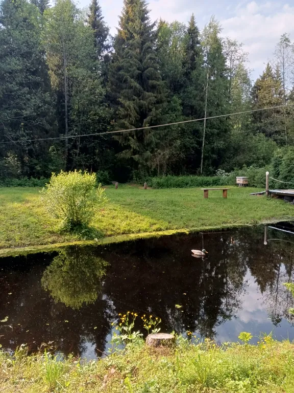 Райский уголок