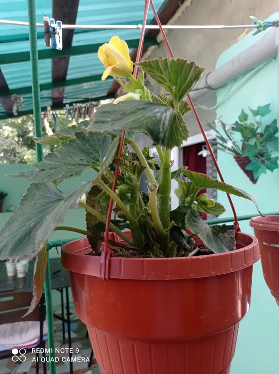 Квартира Номер Комфорт в частном секторе — Заозёрное