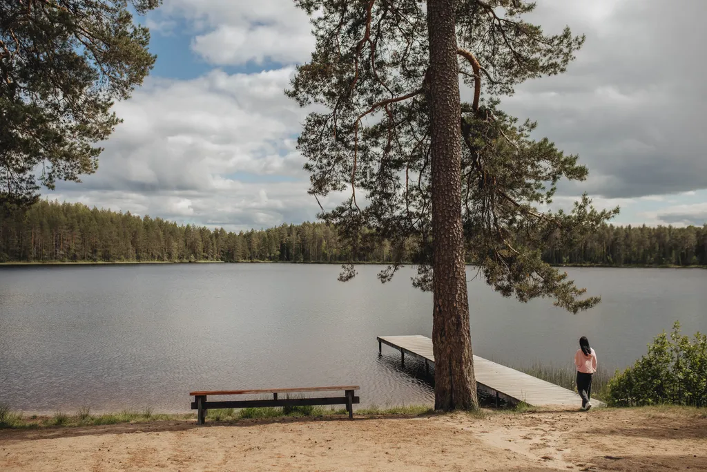 Уютный домик в лесу