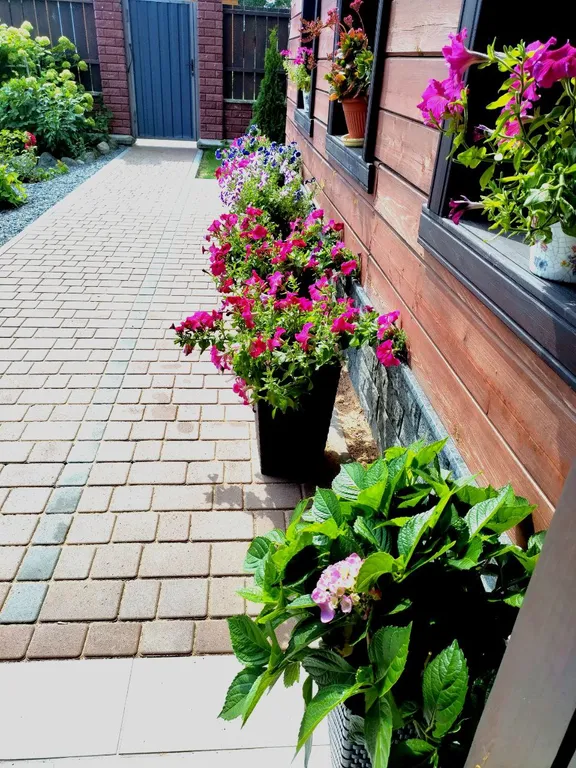 Усадьба Терраса на берегу озера