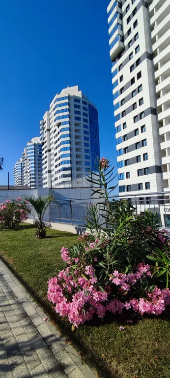 Квартира Апартаменты Морская Симфония — Сочи