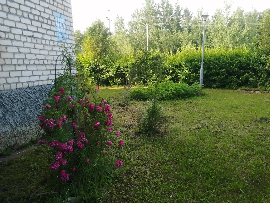 3-комнатная квартира в тихом районе города