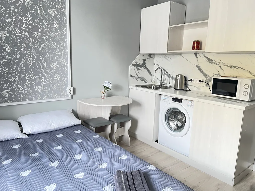 Студия на перекрестке Лермонтова и Петра Алексеева