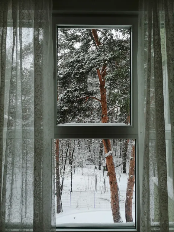 Уютная квартира в лесу рядом с рекой