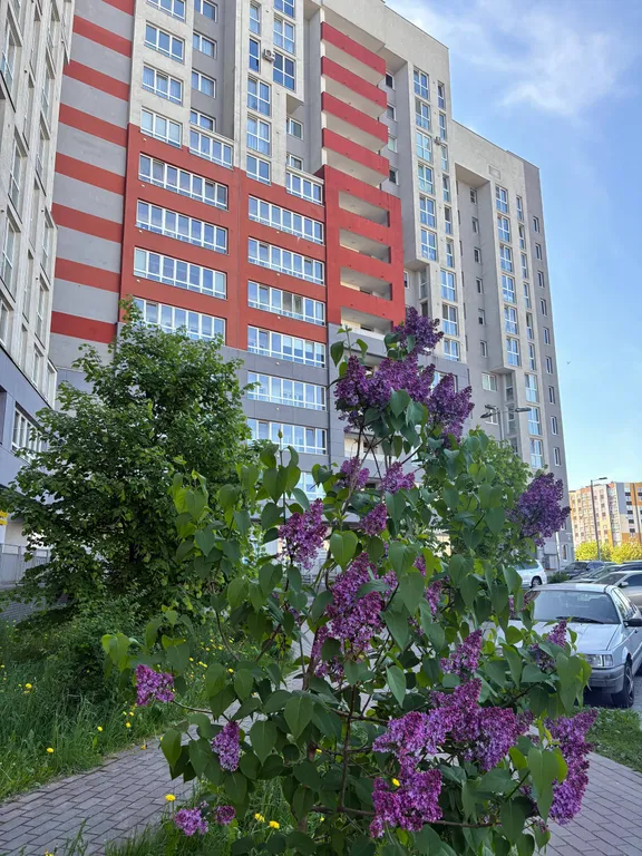 Уютные апартаменты в центре Калининграда