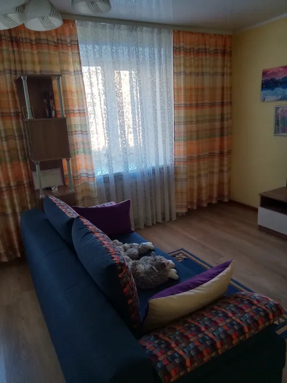 Однокомнатная квартира в Доме счастливого кота