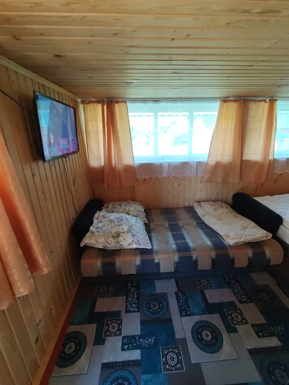 Летний номер с видом на березовый лес