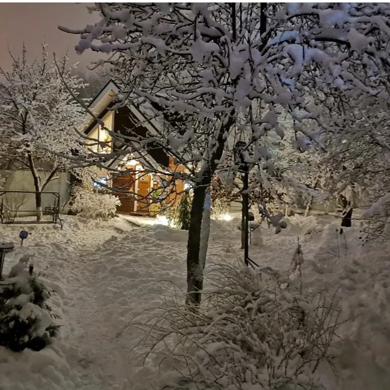 Домик-баня с камином