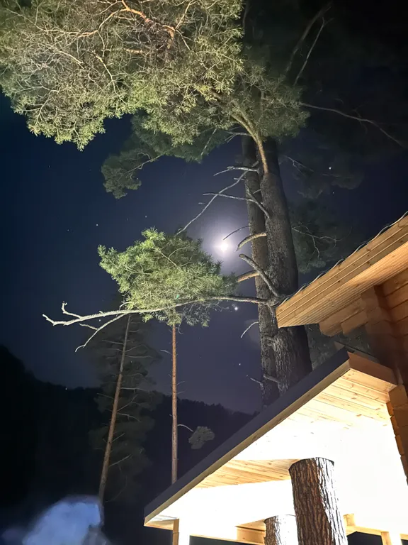 Новый круглогодичный 3-й коттедж на берегу Катуни