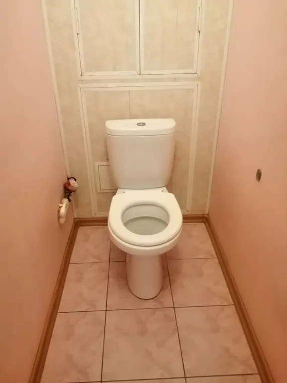 Домашний очаг на Артема 100