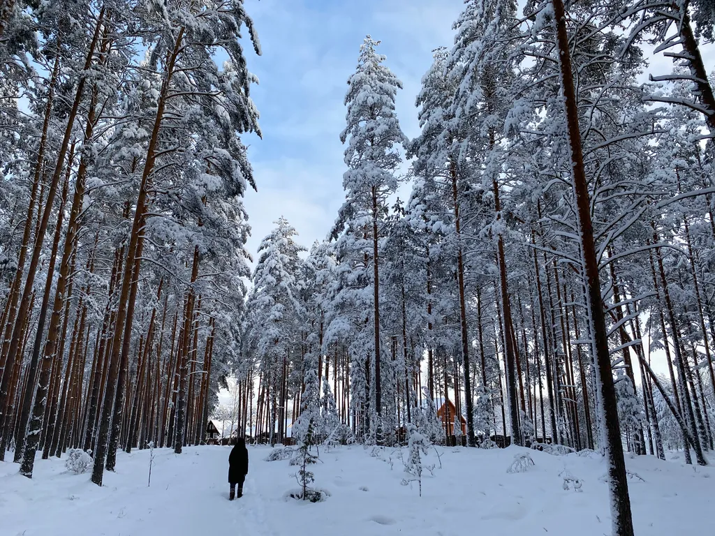 Сосновый Бор