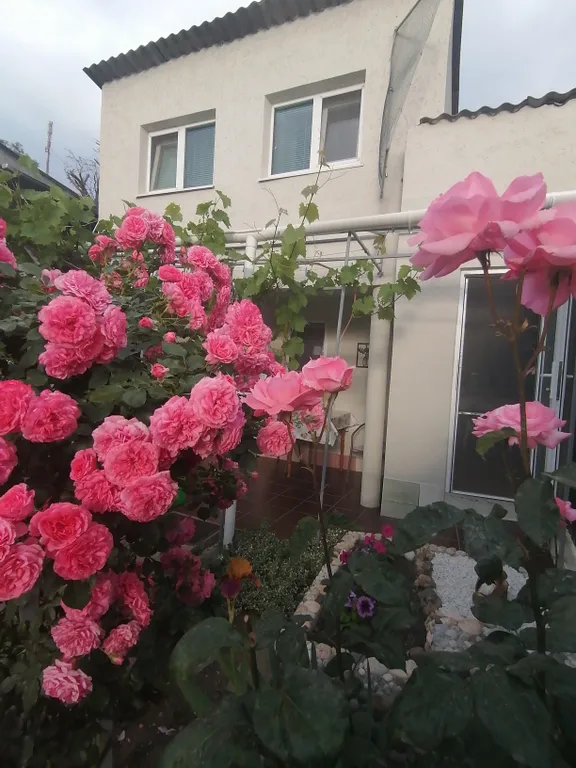 Уютный коттедж — аренда посуточно в Балаклава