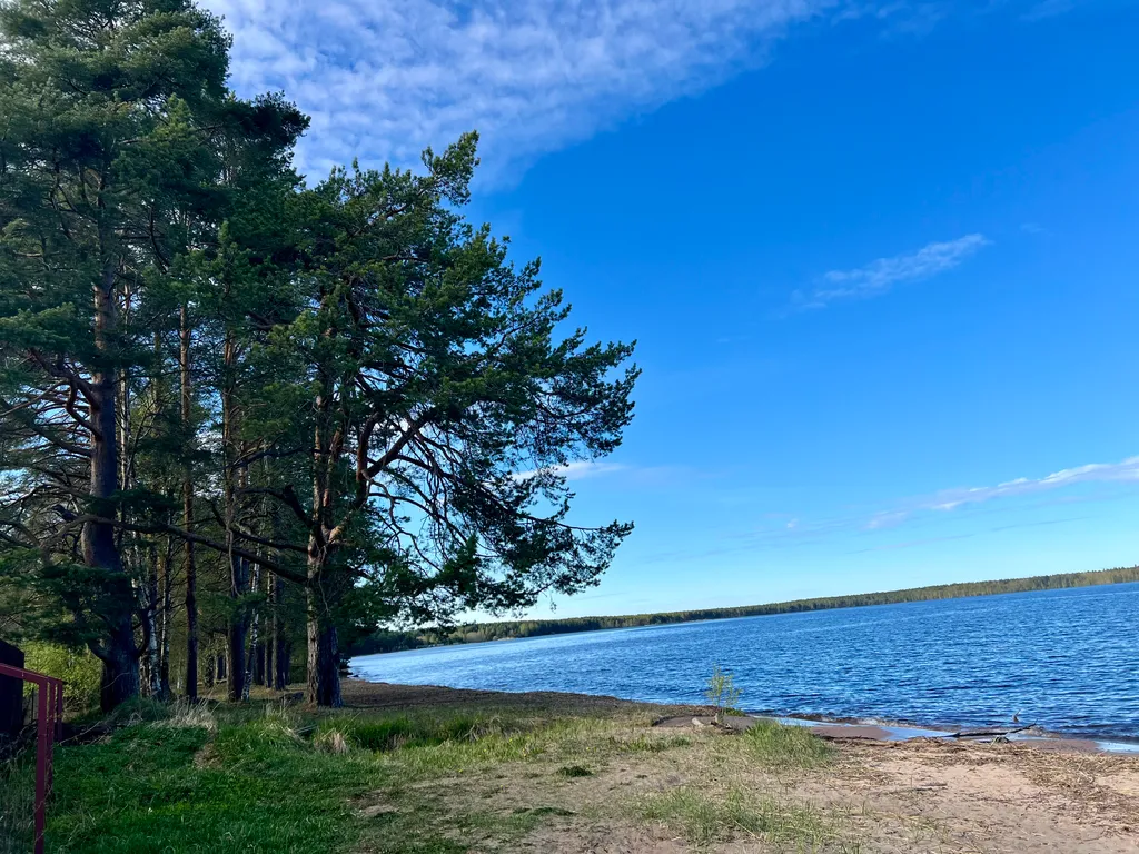 Коттедж 1-комнатный Дом — Деревянное