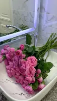 Мария Гасанова
