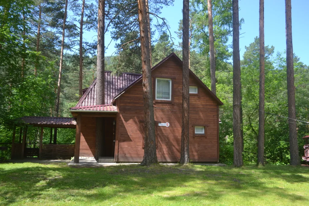 Коттедж Дом на берегу Катуни — аренда посуточно в Усть-Сема