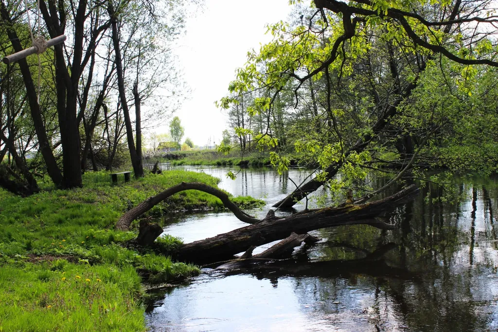 Усадьба Сонтаки на берегу реки Гавья