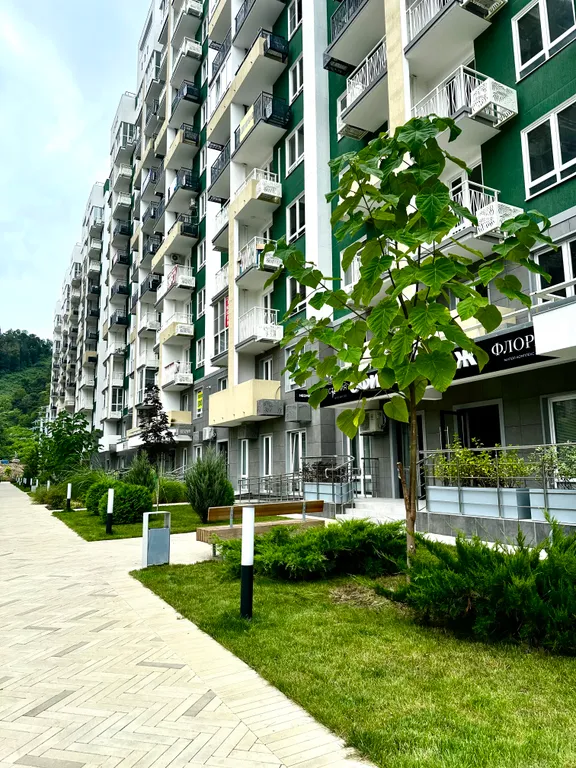 Новая дизайнерская студия для 3-х человек