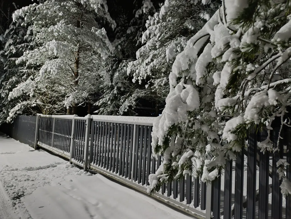 Гостевой дом На опушке леса